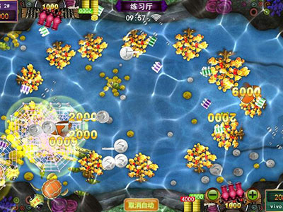 星力十代诚信海王
